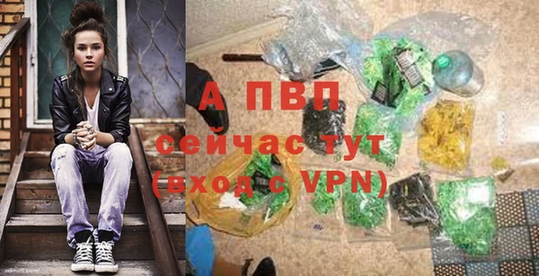 винт Липки