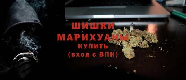 сатива Медногорск