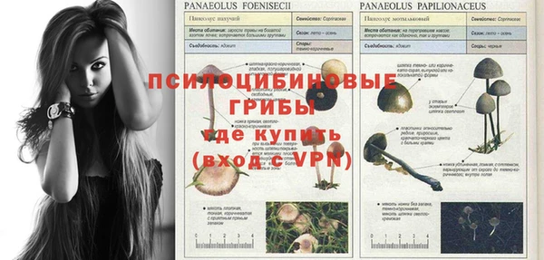 MDMA Тайга
