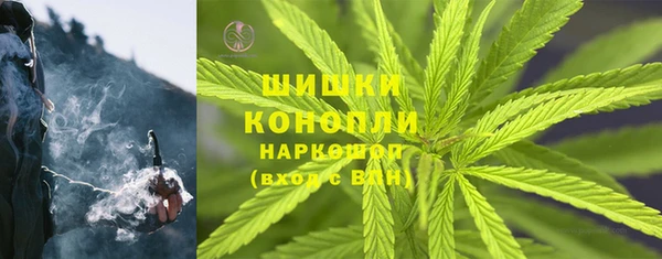 винт Липки