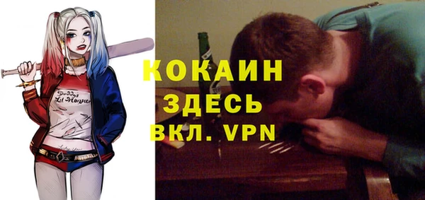 ГАЛЛЮЦИНОГЕННЫЕ ГРИБЫ Медвежьегорск